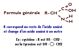 Formule chimique générale de la kératine