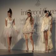 Intercoiffure Artistic Team