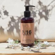 n16 professional