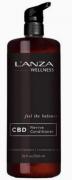 lanza