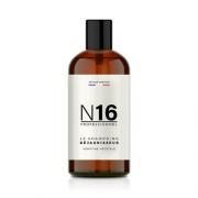 n16 professional